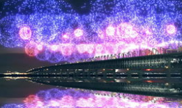 礼花动画短视频,一场视觉盛宴的瞬间捕捉